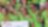 2021 Virtual Off-Track Awards