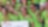 2021 Virtual Off-Track Awards