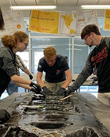 Team Bearcat Motorsports, USA